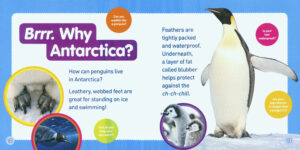 National Geographic Kids: Explore My World: Penguins by Jill