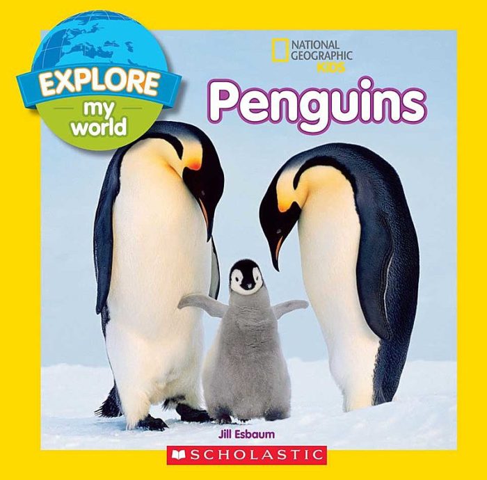 Penguins By Jill Esbaum | Scholastic