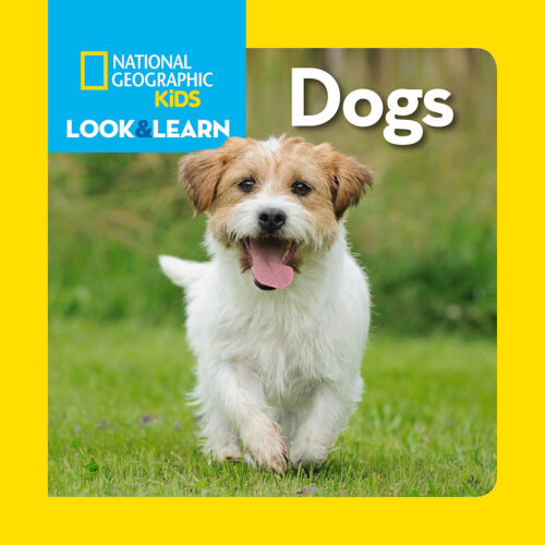 絵本・児童書 National Geographic Kids nonfiction sigh Amazon.com: A Zebra's Day (National Geographic Kids Readers