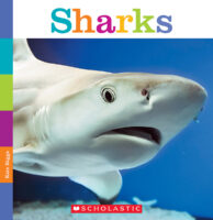 Sharks