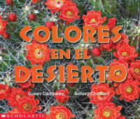 Colores en el desierto