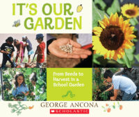 It's Our Garden