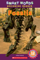 Fossils