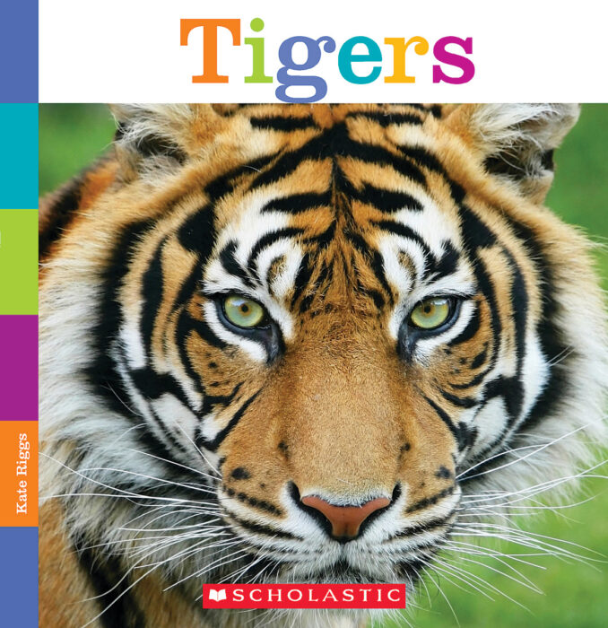 Tigers