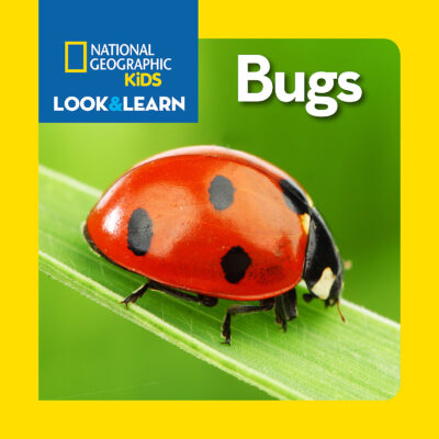 National Geographic Kids: Look and Learn: Bugs