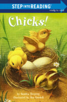 Chicks!