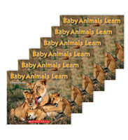 Baby Animals Learn: 6-Book Set