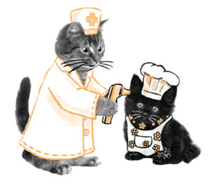 Daisy the Kitten by Jane Clarke | Scholastic Education