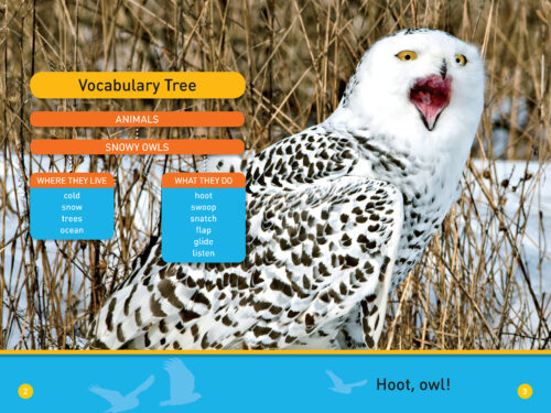 National Geographic Kids Readers: Hoot, Owl! by Shelby Alinsky