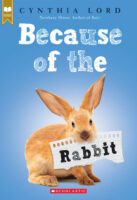 Because of the Rabbit