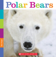 Seedlings: Polar Bears