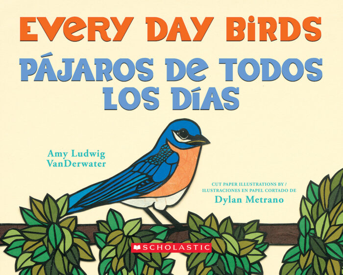Every Day Birds / Pájoros de todos los días