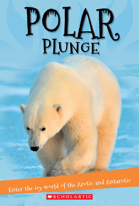 It's All About...: Polar Plunge