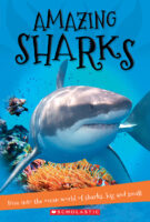 It's All About...: Amazing Sharks