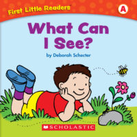 What Can I See?