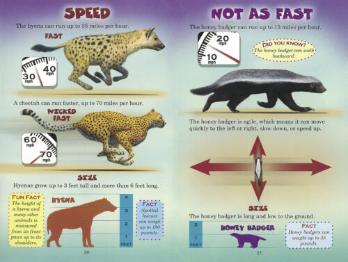 Honey Badger Vs Leopard