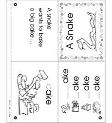 Word Family Mini-Book: -ake Mini-Book by