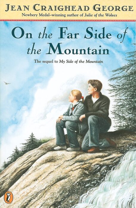 My Side of the Mountain: On the Far Side of the Mountain