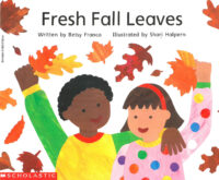Fresh Fall Leaves