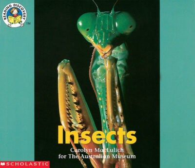 Insects