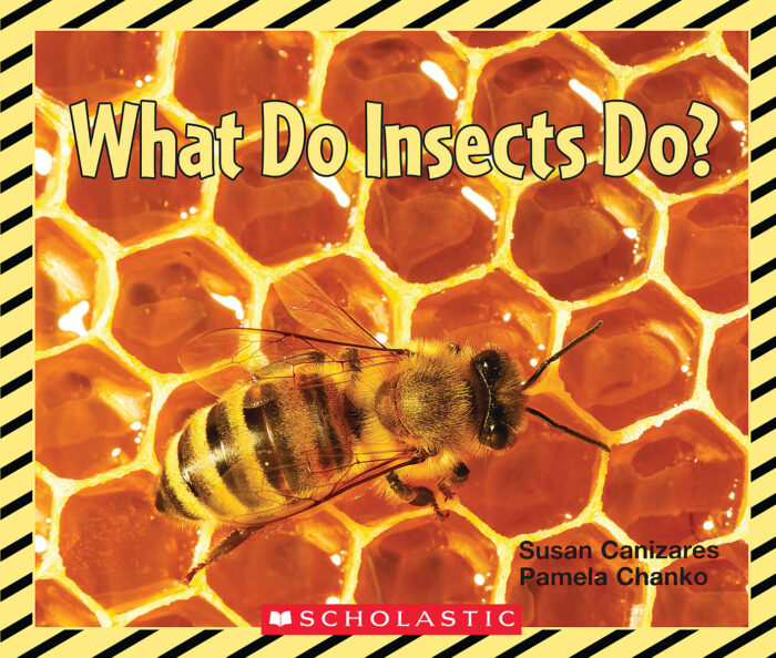 Emergent Science Readers: What Do Insects Do?