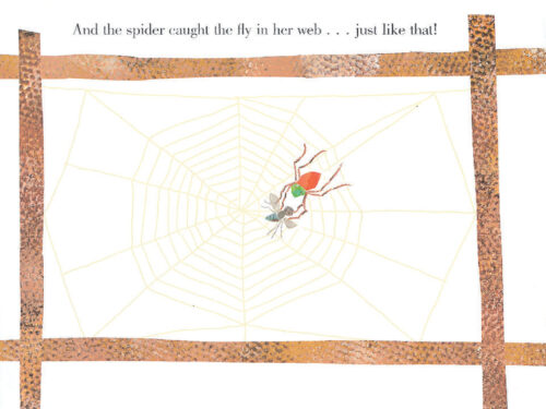 The very busy spider store