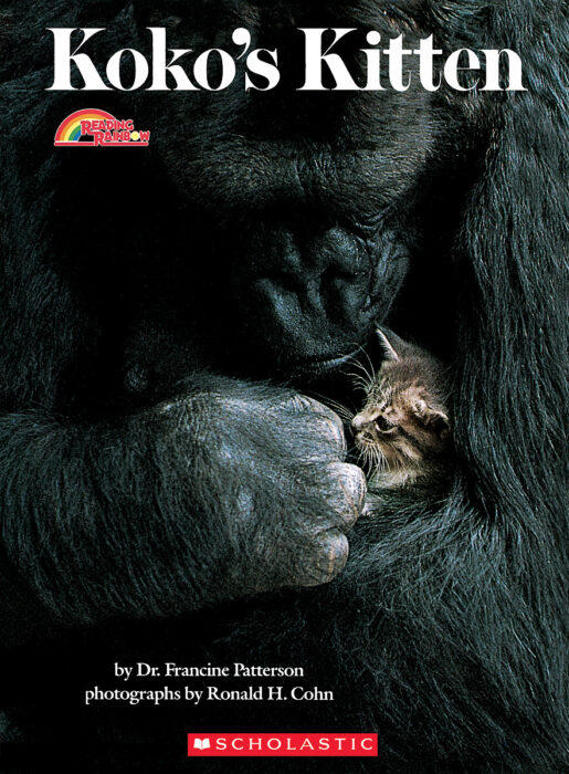 Koko's Kitten by Francine Patterson | Scholastic