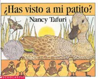 ¿Has visto a mi patito?