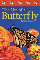Science Library: The Life of a Butterfly