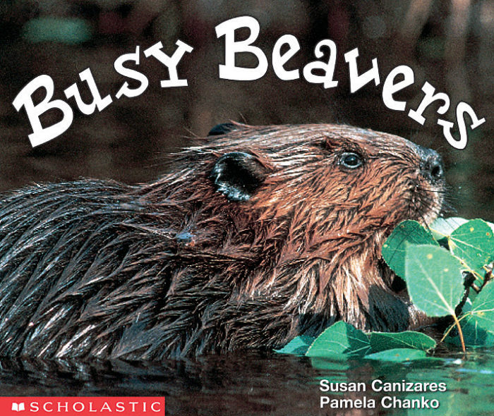 Busy Beavers by Scholastic Scholastic