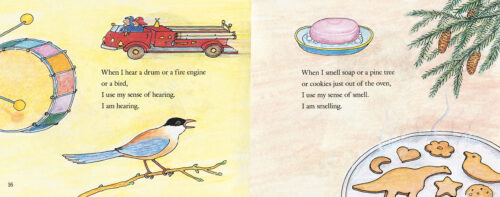 my five senses book pdf