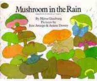 Mushroom In The Rain