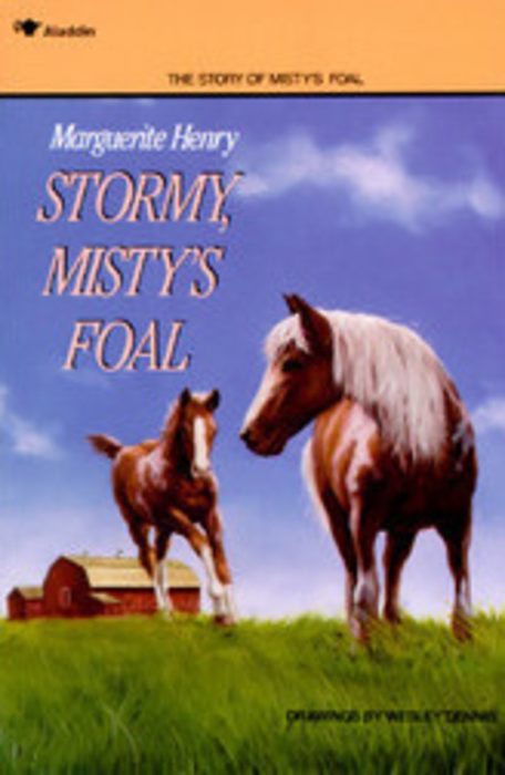 Stormy, Misty's Foal by Marguerite Henry | Scholastic