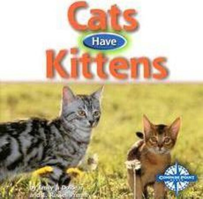 Cats Have Kittens Scholastic