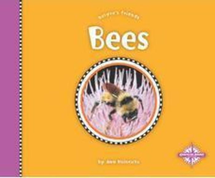 Bees by Ann Heinrichs | Scholastic