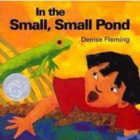 In The Small, Small Pond