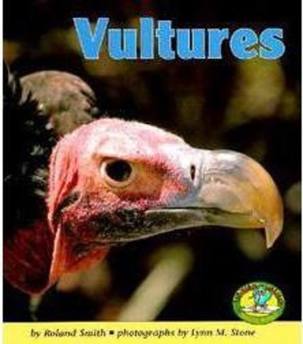 Vultures by Roland Smith Scholastic