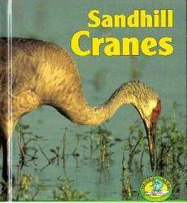 Sandhill Cranes by Lynn M. Stone Scholastic