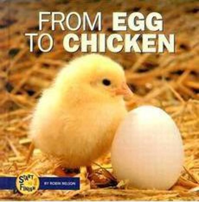 From Egg to Chicken (Start to Finish) by Robin Nelson Scholastic
