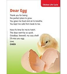 Dear Egg Chicken Life Cycle Science Poem By