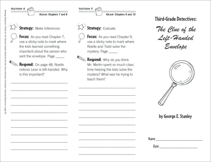 Third Grade Detectives: The Clue of the Left Handed Envelope (Level N
