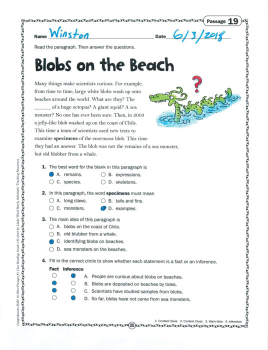 blobs on the beach grade 4 close reading passage by