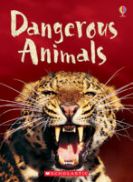 Usborne Beginners: Dangerous Animals