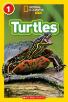 National Geographic Kids Readers: Turtles