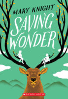 Saving Wonder
