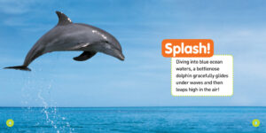 National Geographic Kids: Explore My World: Dolphins by Becky