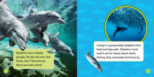 National Geographic Kids: Explore My World: Dolphins by Becky