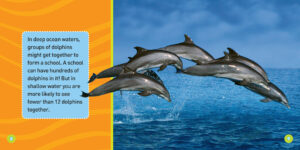 National Geographic Kids: Explore My World: Dolphins by Becky