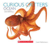 Curious Critters: Ocean