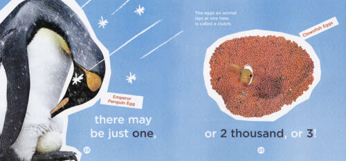 National Geographic Kids: What's in that Egg?